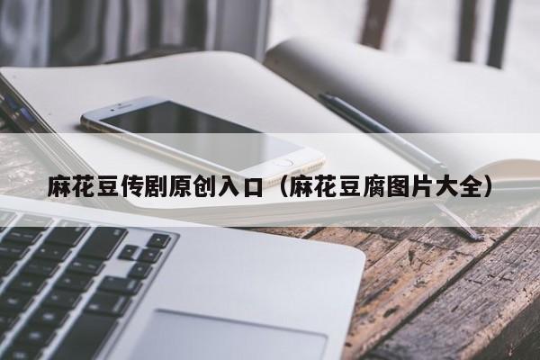 麻花豆传剧原创入口(麻花豆腐图片大全)