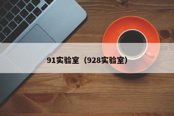 91实验室（928实验室）