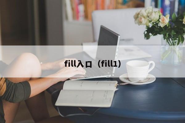 fill入口（fill1）