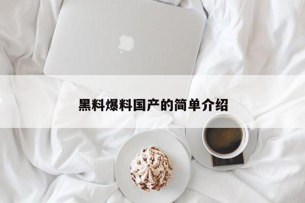黑料爆料国产的简单介绍